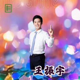 王振宇